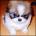 uzunahec's Avatar